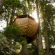 Illustration for article titled These Are The Most Amazing Tree Houses Ever